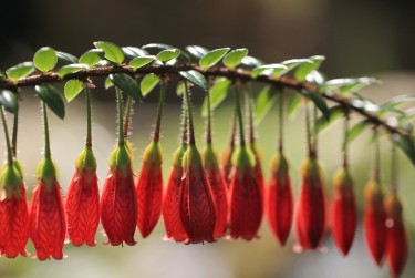 无锡宜兴6零用贷短借：轻松解决临时资金需求