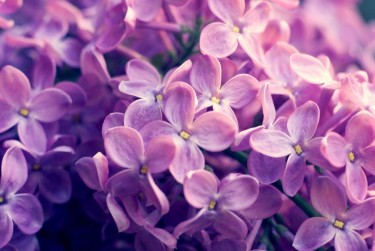 无锡宜兴6企业急用钱贷款攻略：快速融资解燃眉之急